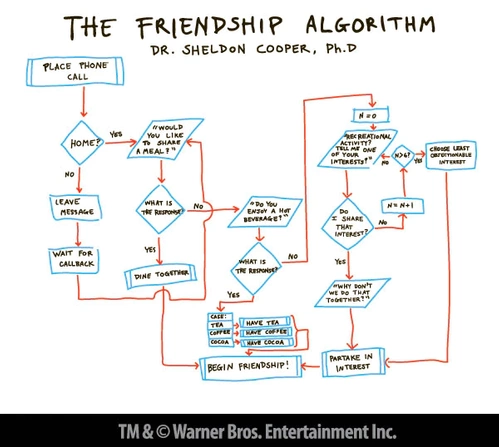 Koszulka męska The Big Bang Theory - The Friendship Algorithm