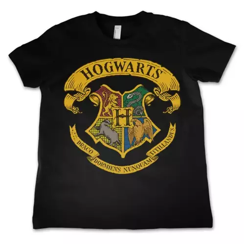 Koszulka dziecięca Harry Potter - Hogwarts